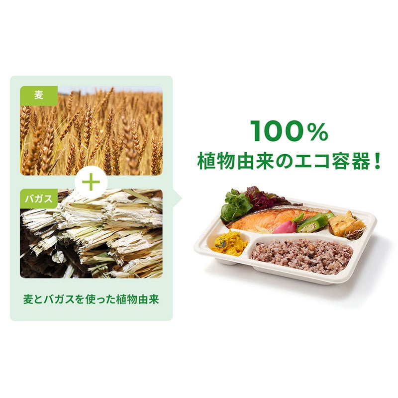 弁当容器 WB麦バガス弁当 ラミ 本体 24-20A 白色 50枚/袋(ご注文単位6袋)【直送品】