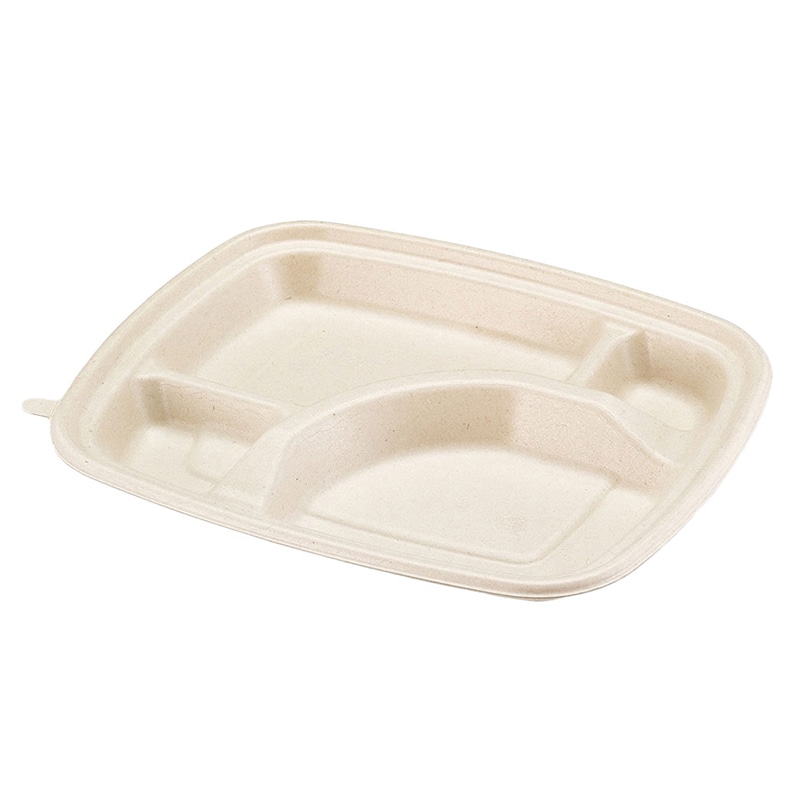 弁当容器 BB竹バガス弁当 ラミ 本体 N24-20A 50枚/袋(ご注文単位6袋)【直送品】