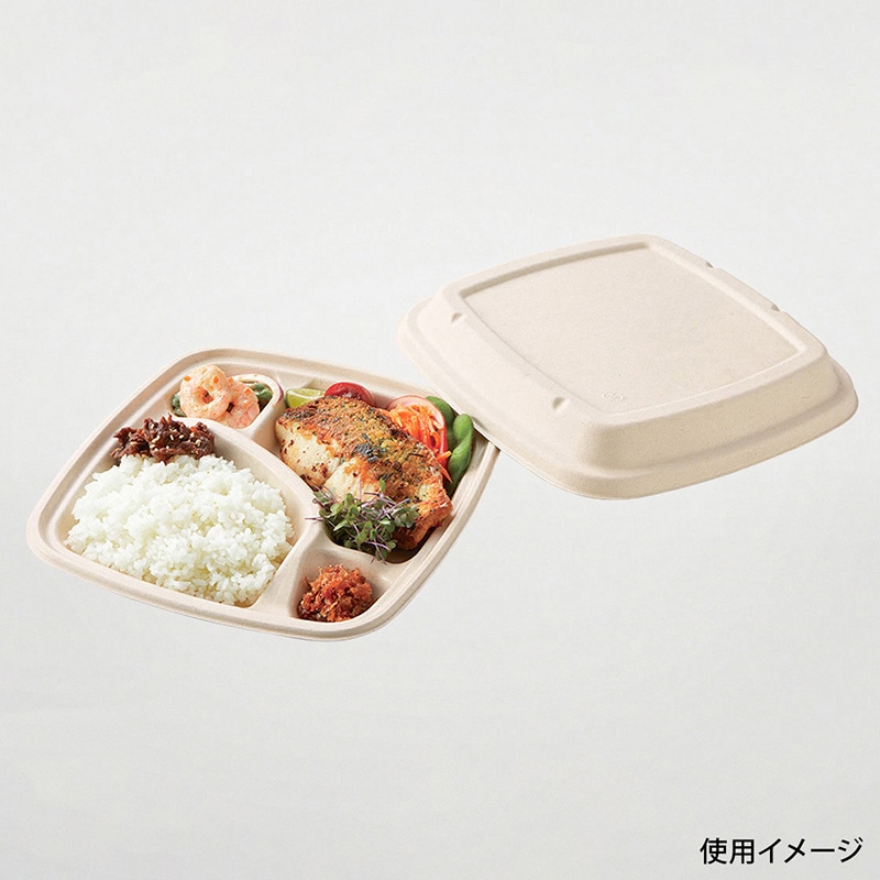 弁当容器 BB竹バガス弁当 ラミ 本体 N23-23A 50枚/袋(ご注文単位6袋)【直送品】