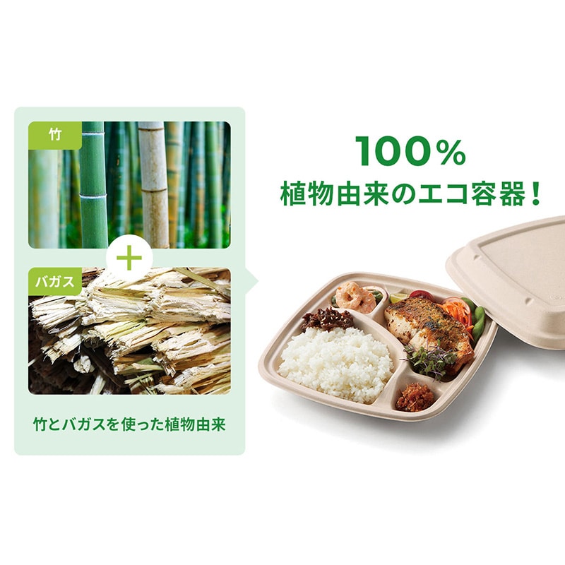 弁当容器 BB竹バガス弁当 ラミ 本体 N23-23A 50枚/袋(ご注文単位6袋)【直送品】