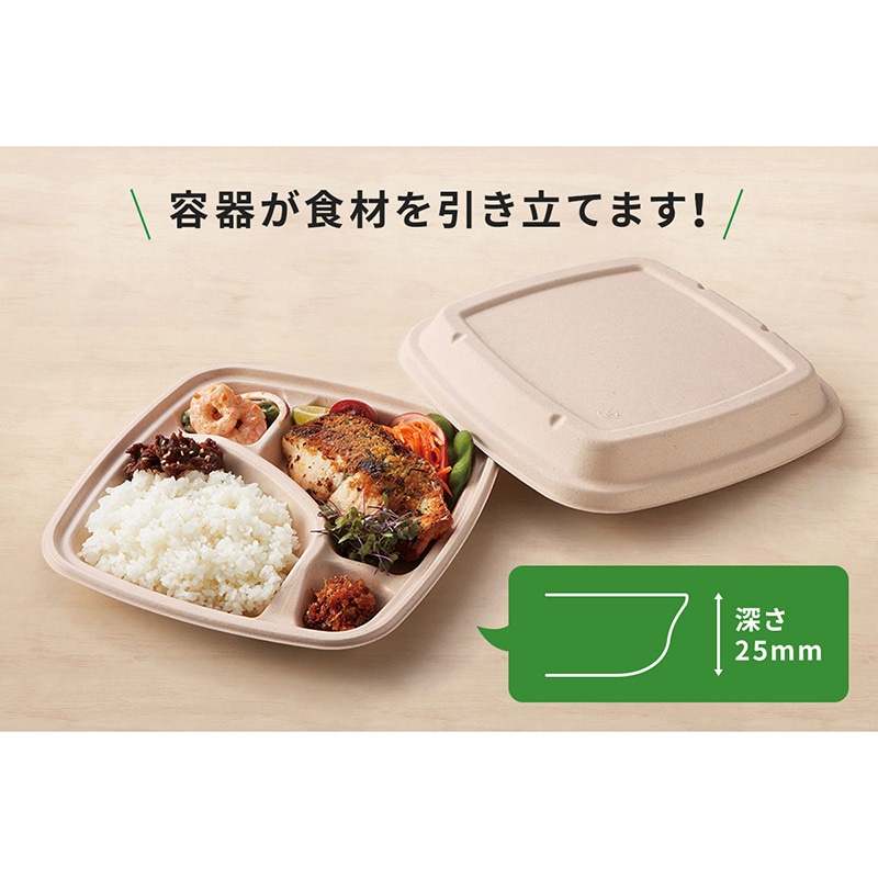 弁当容器 BB竹バガス弁当 ラミ 本体 N23-23A 50枚/袋(ご注文単位6袋)【直送品】