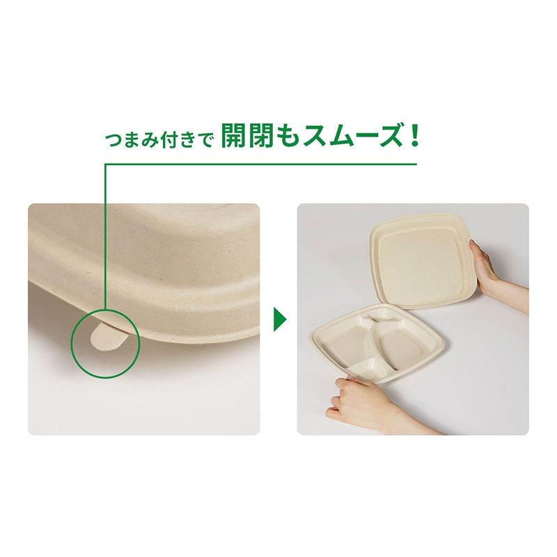 弁当容器 BB竹バガス弁当 ラミ 本体 N23-23A 50枚/袋(ご注文単位6袋)【直送品】