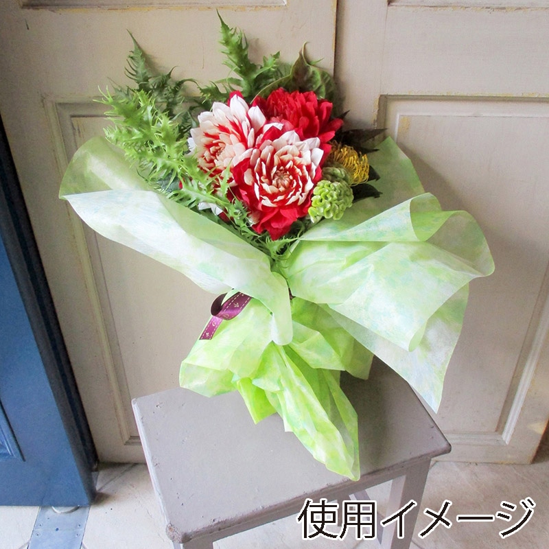 マッセ ラッピングロール ネーベル No.5 グリーン 123005 1本(ご注文単位1本)【直送品】