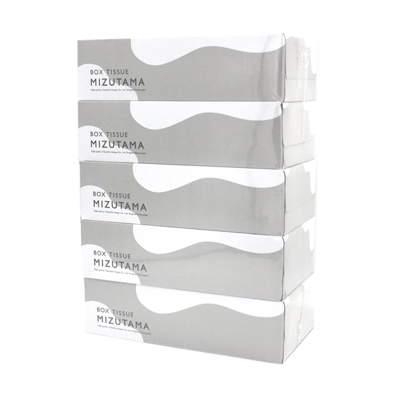 高千穂産業 ボックスティッシュ MIZUTAMA 200組 5個×12パック 1420000005 1箱（ご注文単位1箱）【直送品】