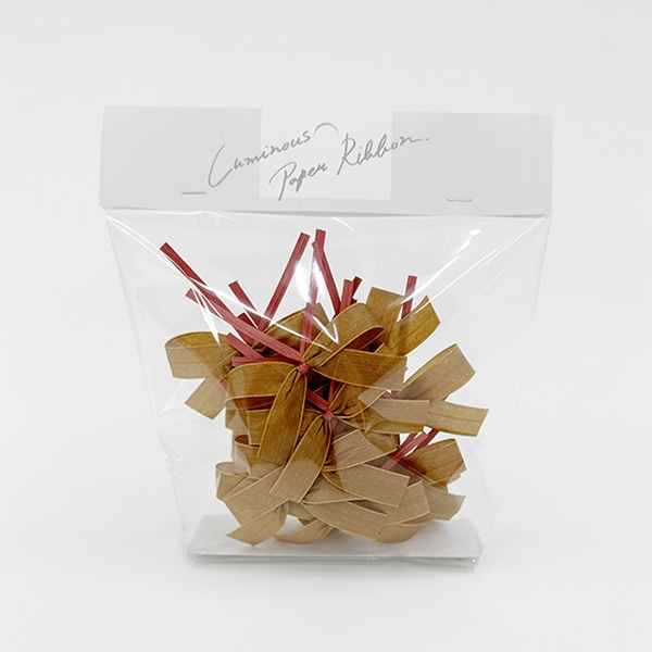 リボンワーク ルミナスペーパーリボン リボンタイ 15個入 シナモン 1袋（ご注文単位1袋）【直送品】