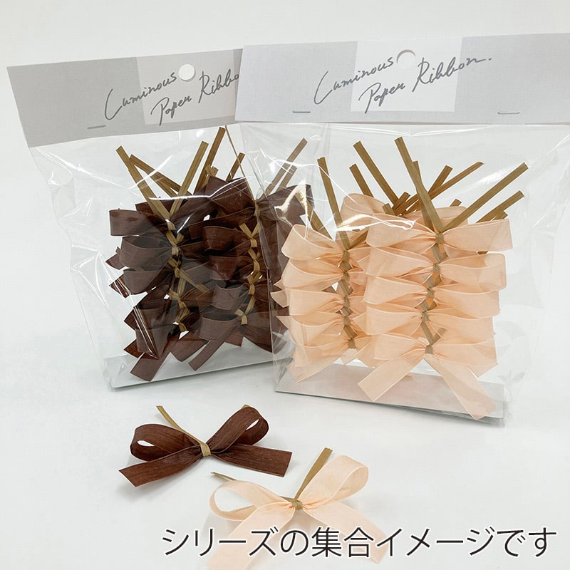 リボンワーク ルミナスペーパーリボン リボンタイ 15個入 チョコレート 1袋(ご注文単位1袋)【直送品】