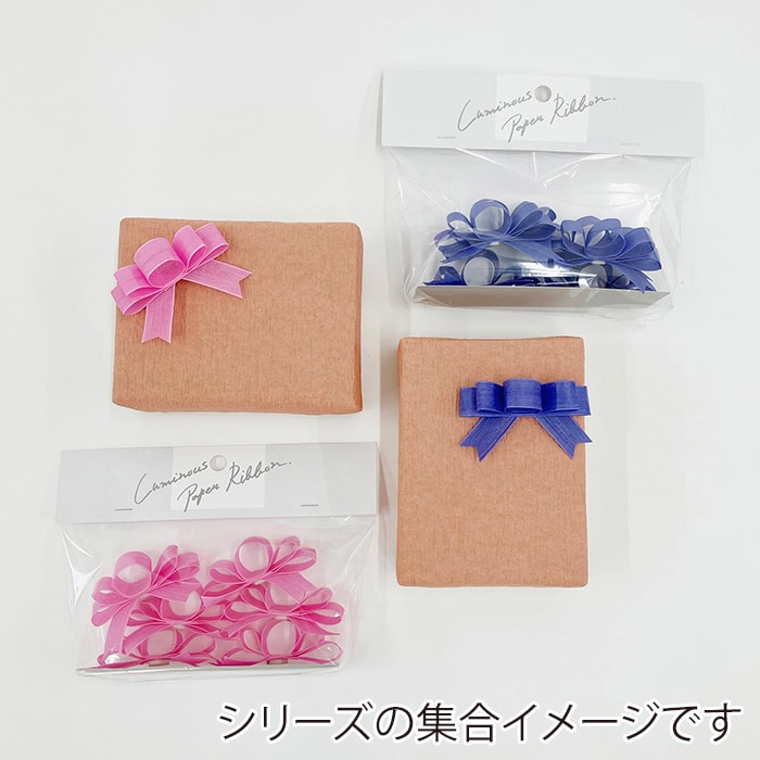 リボンワーク ルミナスペーパーリボン りぼん 6個入 ブーゲンビリア 1袋（ご注文単位1袋）【直送品】