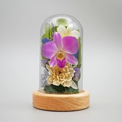 Luna ドライフラワーアレンジメント 心結～みゆう 小 ヒノキ 白 23006‐001 1個（ご注文単位1個）【直送品】