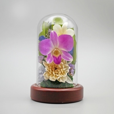 Luna ドライフラワーアレンジメント 心結～みゆう 小 ニヤト 白 23006‐004 1個（ご注文単位1個）【直送品】