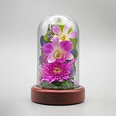 Luna ドライフラワーアレンジメント 心結～みゆう 小 ニヤト 桃 23006‐005 1個（ご注文単位1個）【直送品】