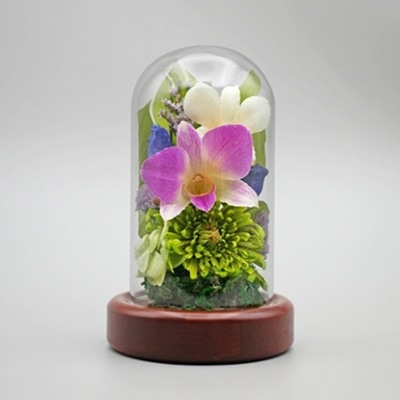 Luna ドライフラワーアレンジメント 心結～みゆう 小 ニヤト 若草 23006‐006 1個（ご注文単位1個）【直送品】