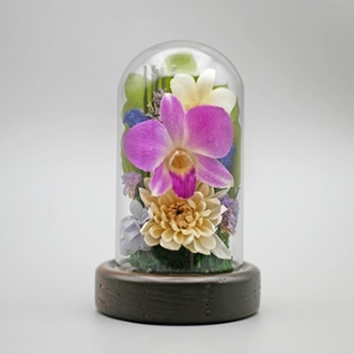 Luna ドライフラワーアレンジメント 心結～みゆう 小 杉 白 23006‐007 1個（ご注文単位1個）【直送品】