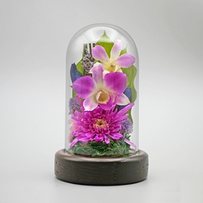 Luna ドライフラワーアレンジメント 心結～みゆう 小 杉 桃 23006‐008 1個（ご注文単位1個）【直送品】