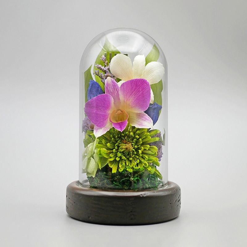 Luna ドライフラワーアレンジメント 心結～みゆう 小 杉 若草 23006‐009 1個（ご注文単位1個）【直送品】