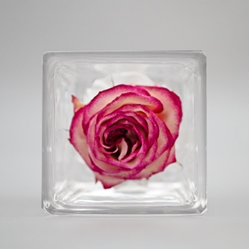 Luna ドライフラワーアレンジメント キュブ・ドゥ・シエル バラ 23008‐002 1個（ご注文単位1個）【直送品】