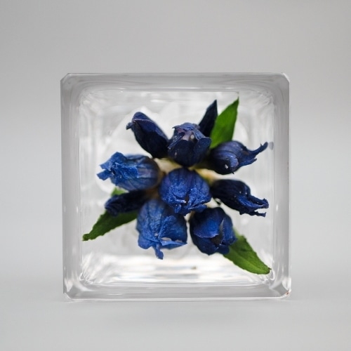 Luna ドライフラワーアレンジメント キュブ・ドゥ・シエル りんどう 23008‐003 1個（ご注文単位1個）【直送品】