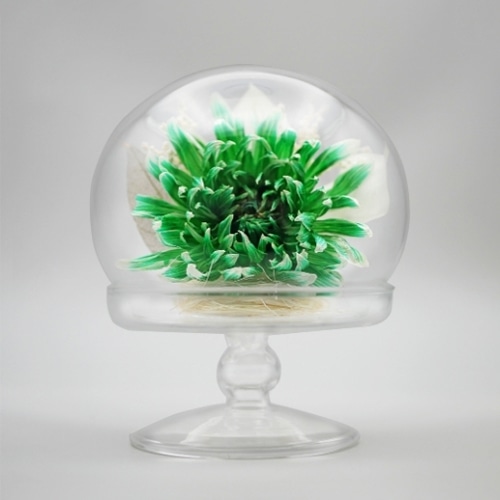 Luna ドライフラワーアレンジメント 天音～あまね 天音 緑 23007‐001 1個（ご注文単位1個）【直送品】