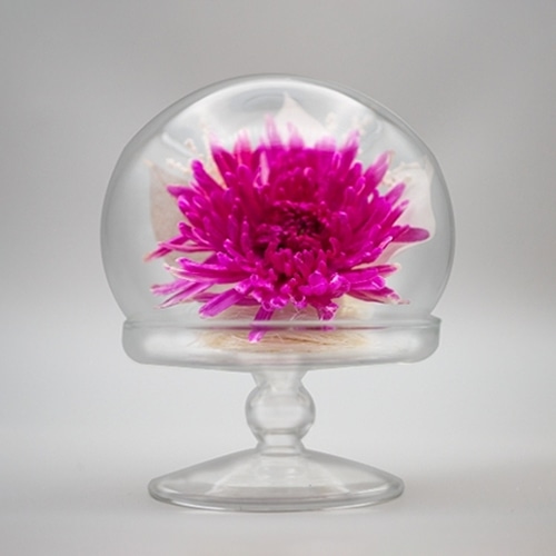 Luna ドライフラワーアレンジメント 天音～あまね 天音 桃 23007‐002 1個（ご注文単位1個）【直送品】