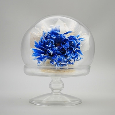 Luna ドライフラワーアレンジメント 天音～あまね 天音 蒼 23007‐003 1個（ご注文単位1個）【直送品】