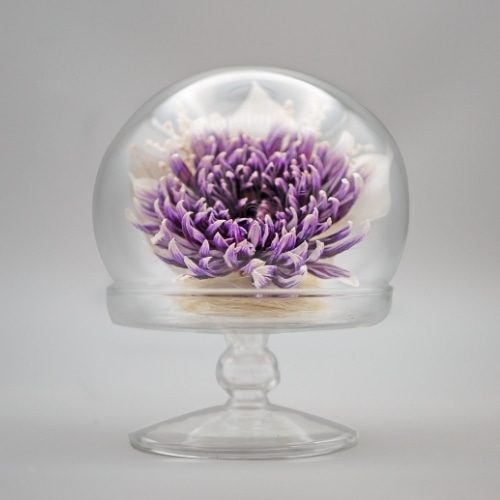 Luna ドライフラワーアレンジメント 天音～あまね 天音 紫 23007‐005 1個（ご注文単位1個）【直送品】