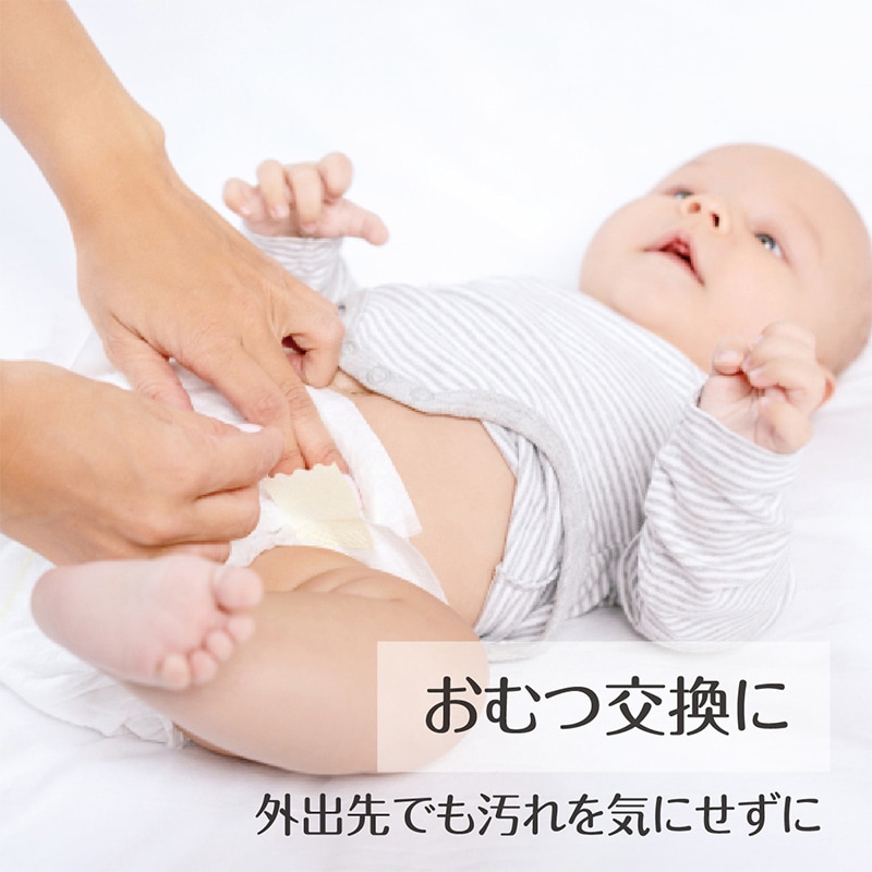 メディコムジャパン ドクターガード マナーシート 10枚入 JBB781017 1枚/パック(ご注文単位100パック)【直送品】