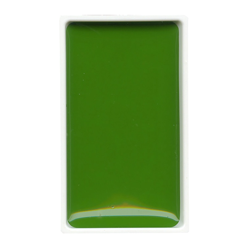 呉竹 顔彩耽美 No.53　黄草 MC21-53 1個（ご注文単位5個）【直送品】