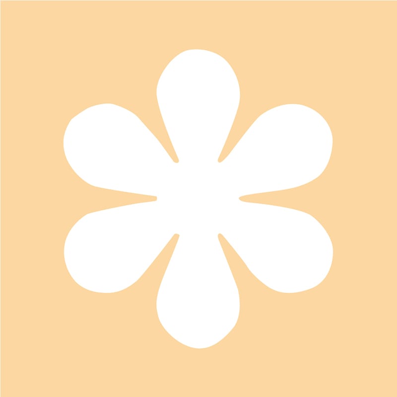 呉竹 クラフトパンチ　キュアパンチ　スモール Asterisk SBKPS500-45 1個（ご注文単位10個）【直送品】