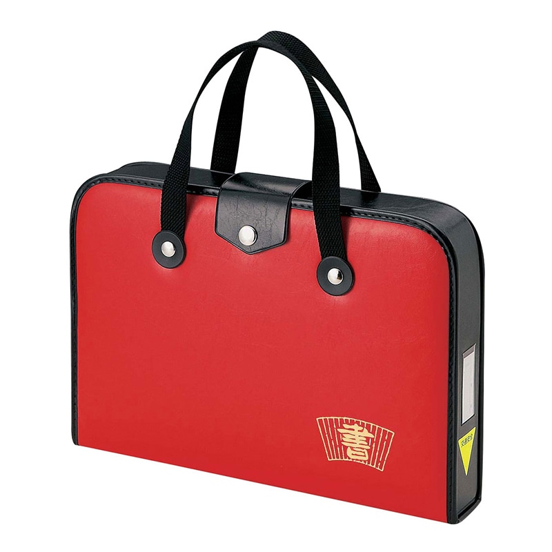 呉竹 空ケース GA-540 赤 GG540-3 1個(ご注文単位1個)【直送品】