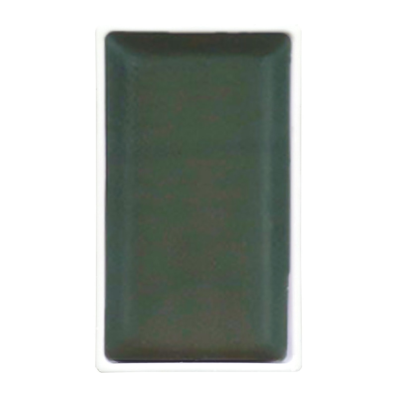 呉竹 呉竹　顔彩耽美 No.250　黒艶緑 MC21-250 1個（ご注文単位5個）【直送品】