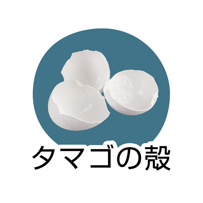 クツワ タマゴカラキャップ&ホルダー RB031B 1個(ご注文単位5個)【直送品】