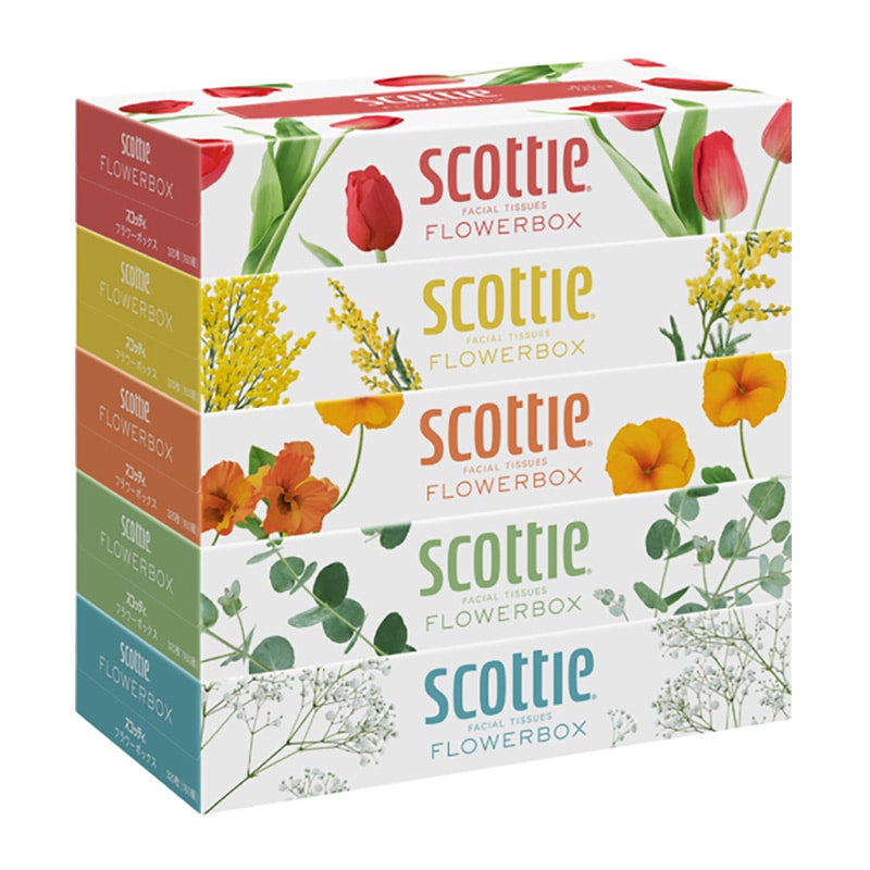 日本製紙クレシア スコッティ ティシュー フラワーボックス 160W 5個パック 1束