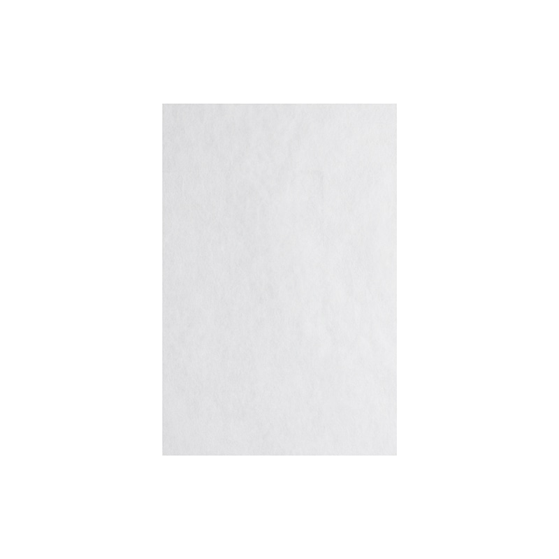 HEIKO 不織布袋 不織布インナーバッグ 20-30 ホワイト 100枚/袋