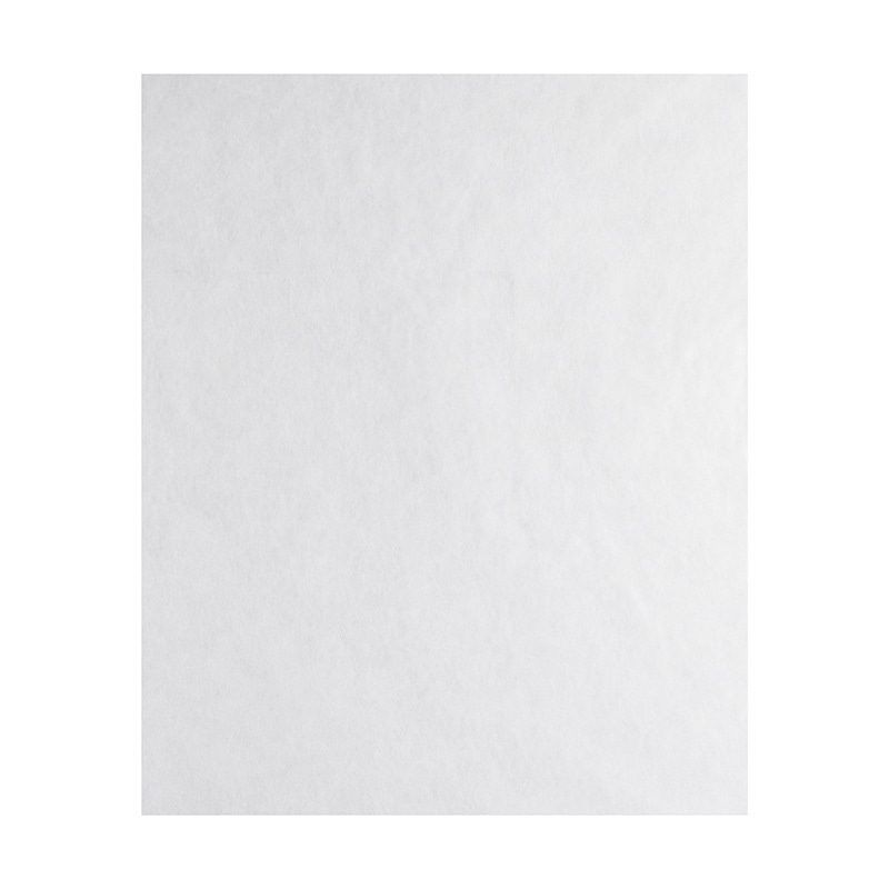 HEIKO 不織布袋 不織布インナーバッグ 45-55 ホワイト 100枚/袋