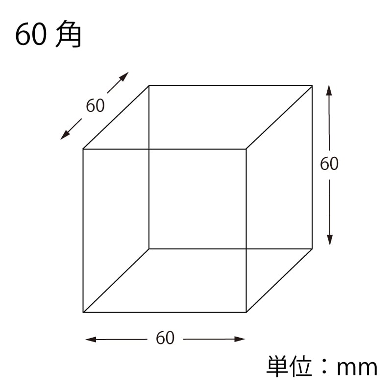 HEIKO アクリルサイコロ 5面体 60角 1個