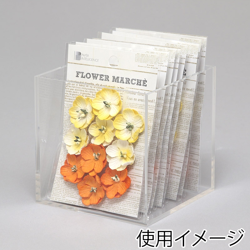 HEIKO アクリルサイコロ 5面体 100角 1個