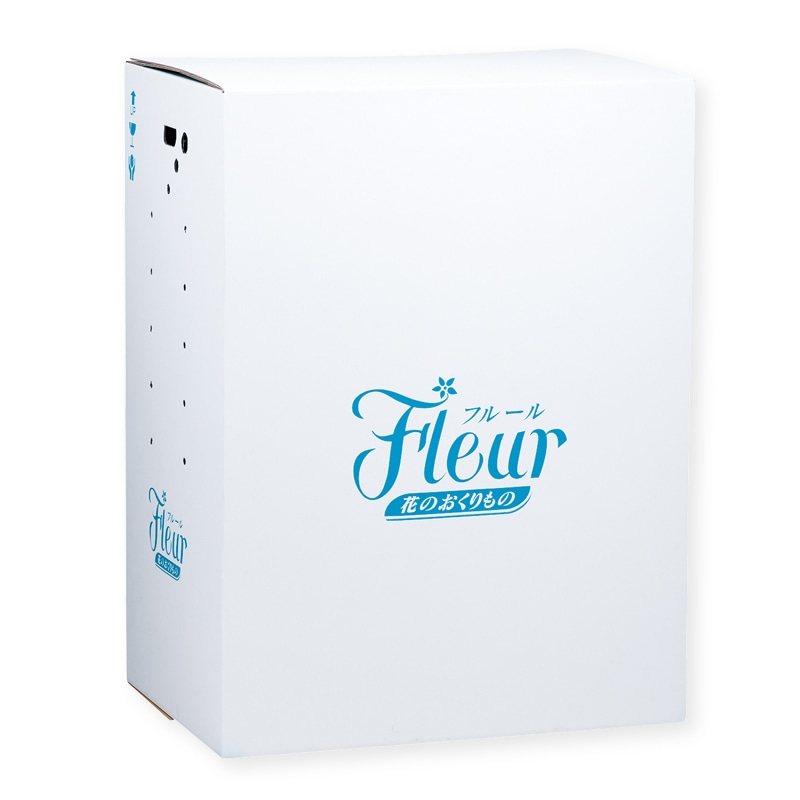 ダイナパック HS-4  花宅配用段ボール 1枚（ご注文単位10枚）【直送品】