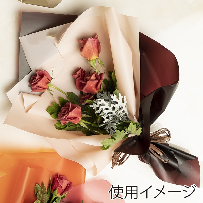 HEIKO ラッピングペーパー レインボウラップ 41 ミルクティー 1本