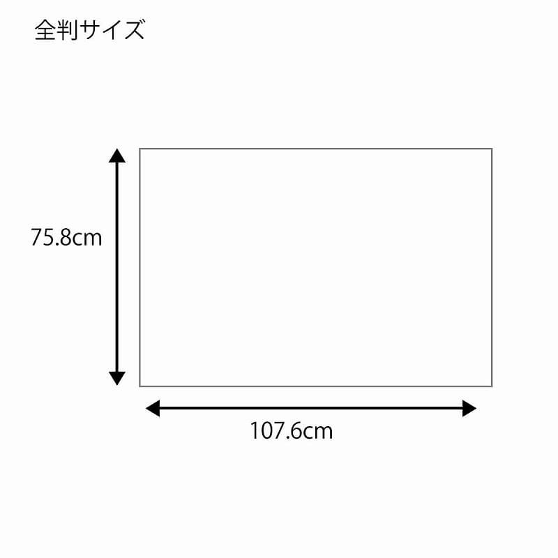 HEIKO 包装紙 全判 フウビ 青 100枚/袋