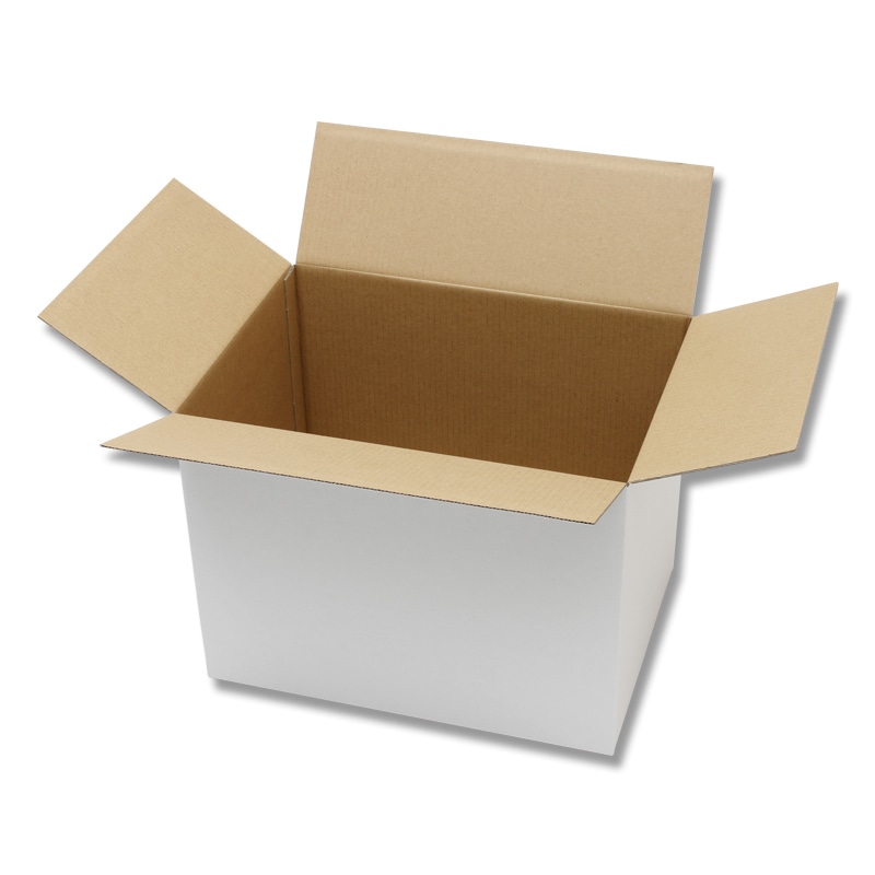 HEIKO 箱 カラーダンボール A4用-230 白 20枚/箱