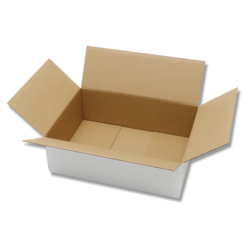 HEIKO 箱 カラーダンボール B4用-120 白 20枚/箱