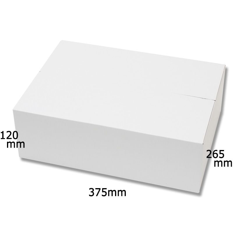 HEIKO 箱 カラーダンボール B4用-120 白 20枚/箱