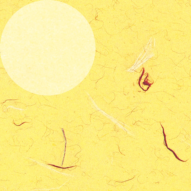 HEIKO ギフト包装紙 半才 きはだ 50枚/袋