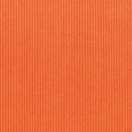 筋無地 オレンジ