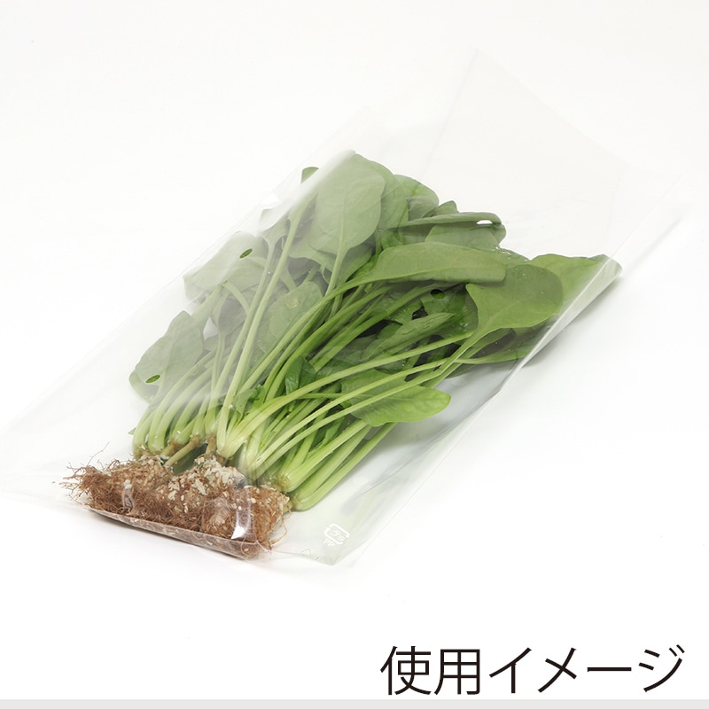 HEIKO ポリ袋 ボードンパック 穴ありタイプ 厚み0.025mm No.18-31 100枚/袋