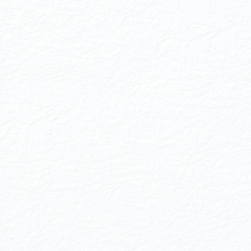 HEIKO 和紙 鳥の子 エンボス No.01 白 5枚/袋