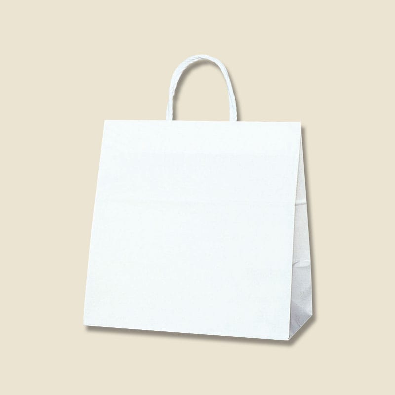 HEIKO 紙袋 スムースバッグ ワイド S 底ボール入 白無地 25枚/袋