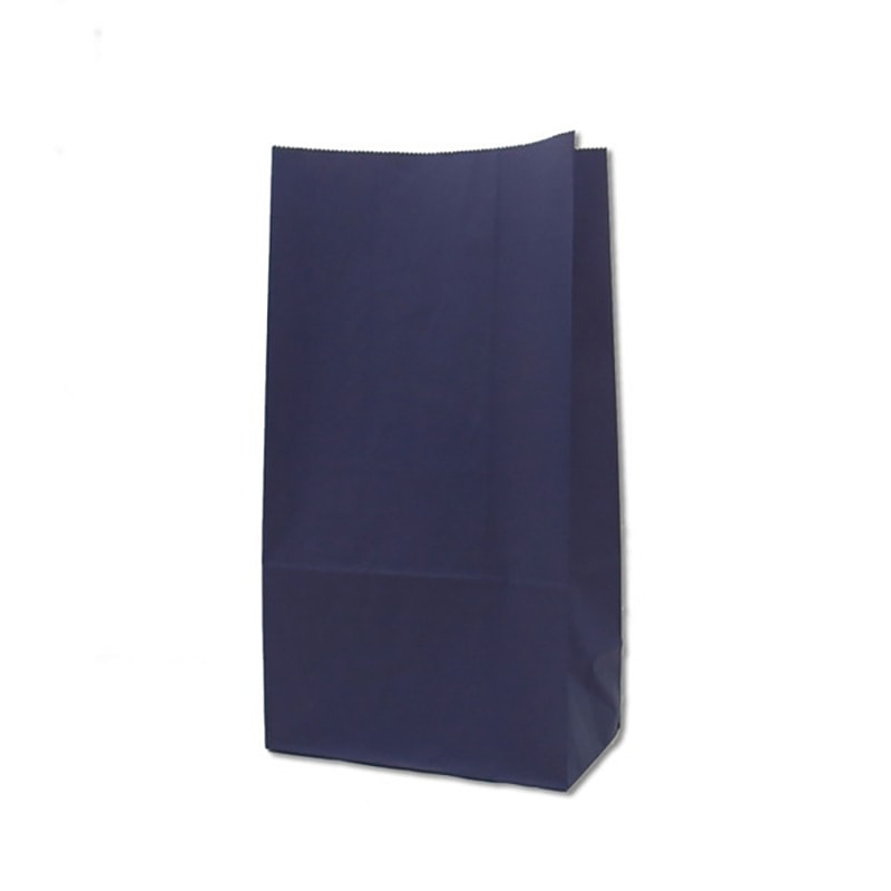 HEIKO 紙袋 角底袋 No.6 未晒無地ネイビーN C 100枚/袋