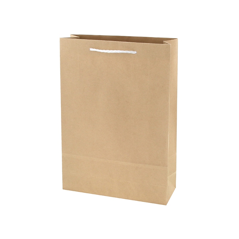 HEIKO 紙袋 T型チャームバッグ 2才 未晒無地 50枚/袋