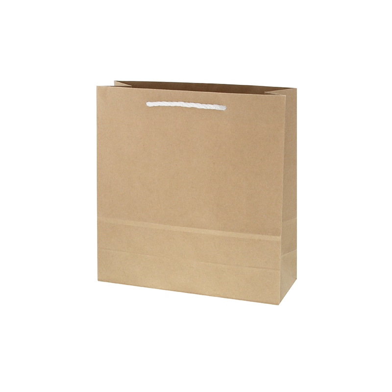 HEIKO 紙袋 T型チャームバッグ 3才 未晒無地 50枚/袋