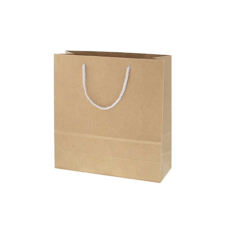 HEIKO 紙袋 T型チャームバッグ 3才 未晒無地 50枚/袋